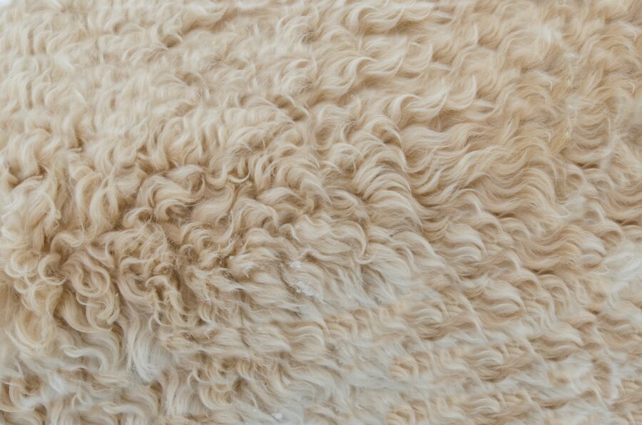 Bilden visar ett naturligt fårskinn. Naturliga fårskinn används som fårskinnsfällar, prydnadskuddar, fårskinnstofflor upp till vackra fårskinnsfåtöljer.